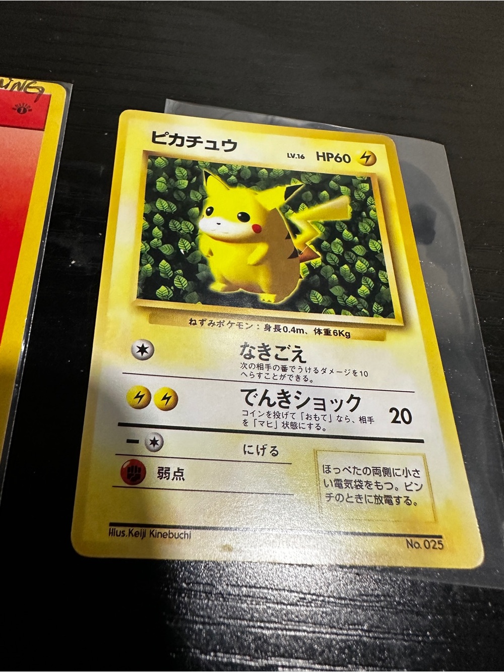 Pokemon Ivy Pikachu Japanese Fanmade Promo Non-Glossy Kieji Kinebuchi NM Card